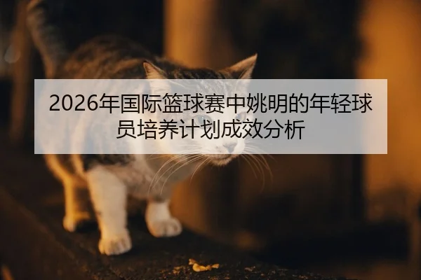 nian-guo-ji-lan-qiu-sai-zhong-yao-ming-de-nian-qing-qiu-yuan-pei-yang-ji-hua-cheng-xiao-fen-xi-2-525.jpg