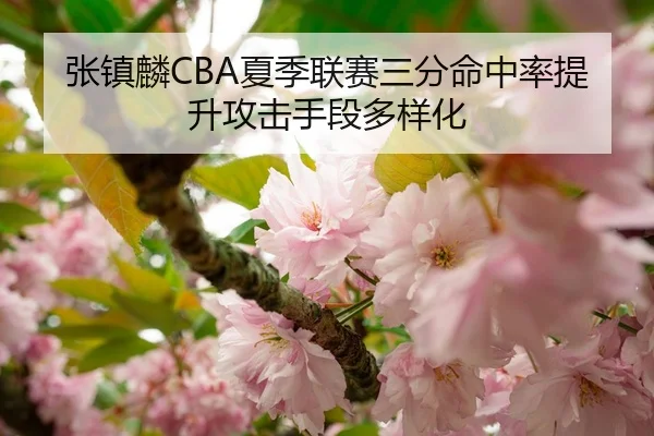 张镇麟CBA夏季联赛三分命中率提升攻击手段多样化