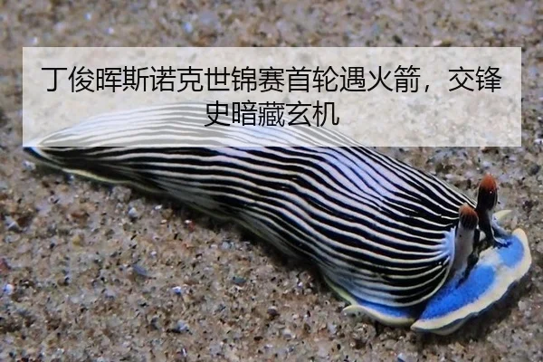 ding-jun-hui-si-nuo-ke-shi-jin-sai-shou-lun-yu-huo-jian-jiao-feng-shi-an-cang-xuan-ji-3-135.jpg