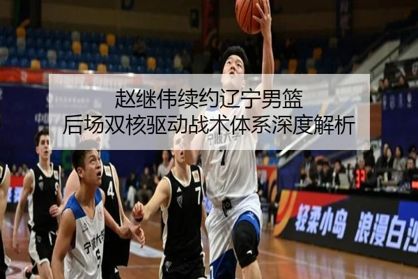 赵继伟续约辽宁男篮 后场双核驱动战术体系深度解析