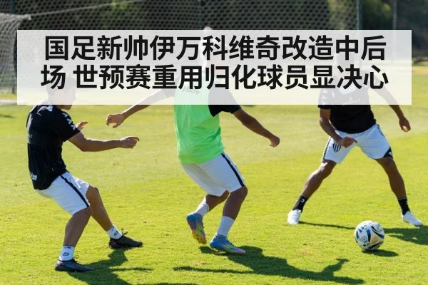 国足新帅伊万科维奇改造中后场 世预赛重用归化球员显决心